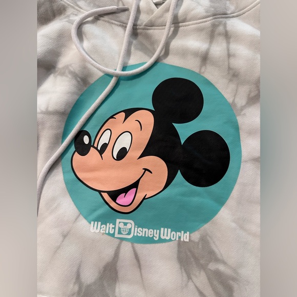 Walt Disney world hoodie size L - Picture 2 of 3